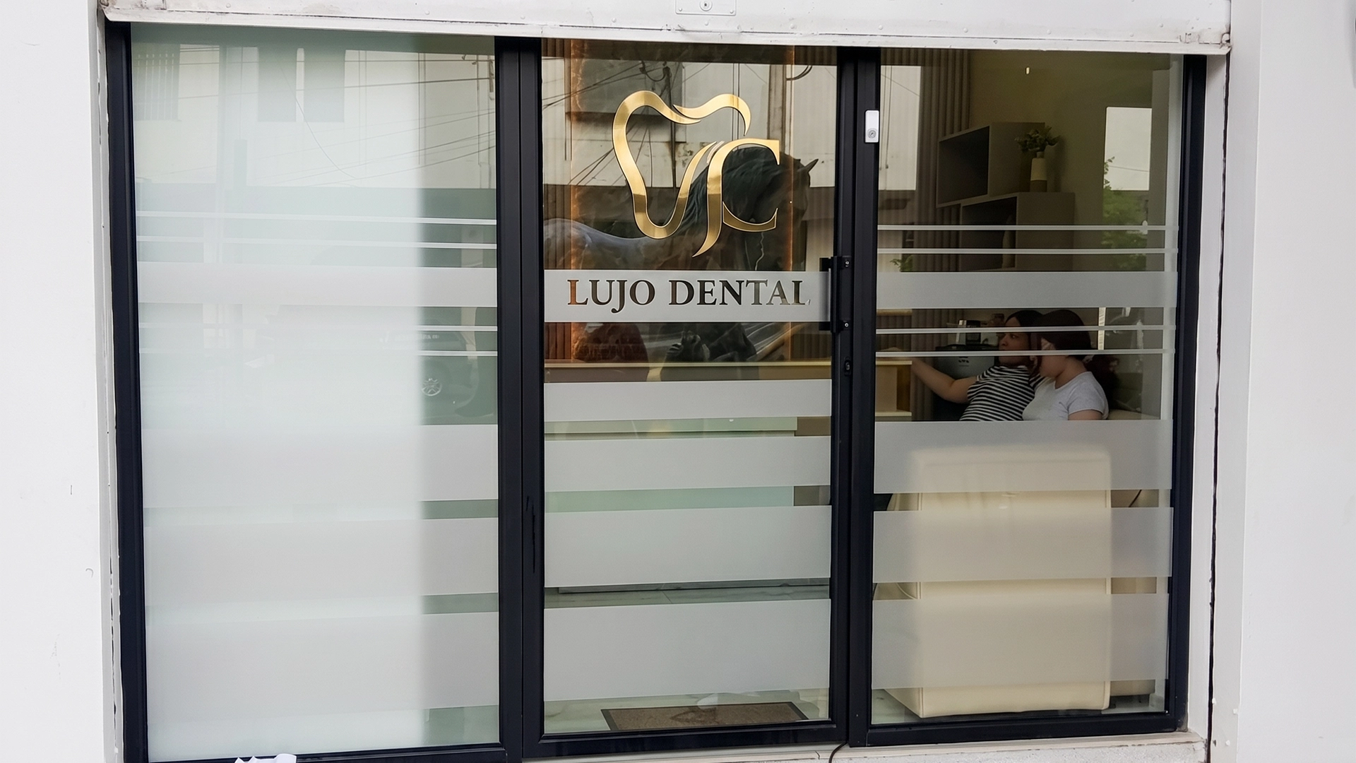 Vinil Arenado en Vidrio